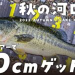 【河口湖バス釣り】50cmのデカバスをオカッパリで攻略〜ポークルアーで40UP〜50cmクラスのブラックバスをGET！【2022年秋】