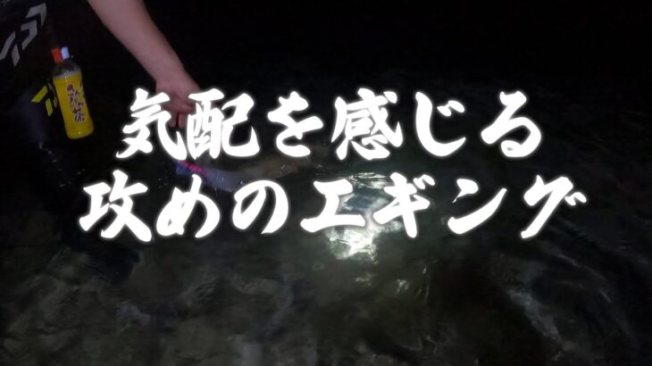 沖縄エギング開幕！攻めのリーフエギングでイカの気配を感じ取る！沖縄ランガンエギング♯78【eging】