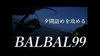 BALBAL99でシーバスフィッシング【シーバスフィッシング】