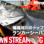 【水面炸裂】デイの東京湾奥河川のトップゲームでシーバスを狙う / DOG-X DIAMANTE SW – DOWN STREAM DOG WALK 【MEGABASS】