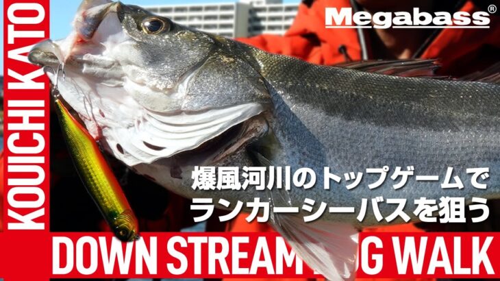 【水面炸裂】デイの東京湾奥河川のトップゲームでシーバスを狙う / DOG-X DIAMANTE SW – DOWN STREAM DOG WALK 【MEGABASS】