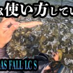 エギング【EMELALDAS FALLこんな場所ではこのように使えます】2022 11月