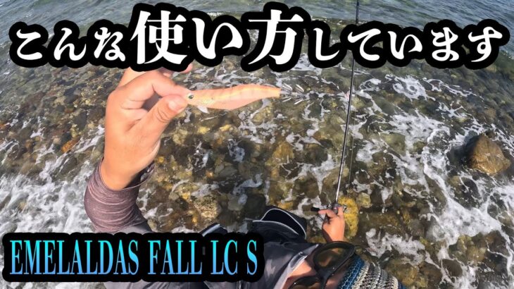 エギング【EMELALDAS FALLこんな場所ではこのように使えます】2022 11月