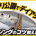 【アジング】海釣り公園でデイアジング【FISHING DOOR】