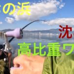 【バス釣り】ISSEI 一誠　沈み蟲釣行❗️ 琵琶湖　南湖