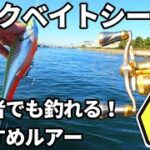 【東京湾ビックベイトシーバス】初心者でも釣れる！ベイビーフェイスJB-150