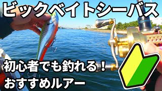 【東京湾ビックベイトシーバス】初心者でも釣れる！ベイビーフェイスJB-150