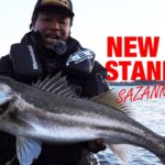 【MEGABASS】サザンカ140Fで秋のランカーシーバスを狙う｜NEW STANDARD in 涸沼