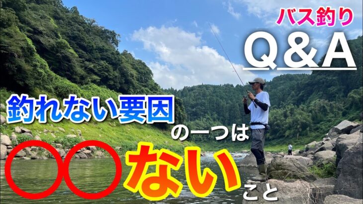 【バス釣りQ＆A】よく釣る人と釣れない人の差はどこにあるのか？基本編【水の旅＃ １７８】