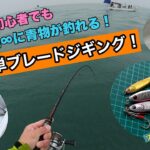 【ジギング・SLJ】初心者がブレードジギングで青物を連続ヒット！低予算タックルでもハマチやサワラが簡単に狙える！