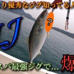 【SLJ】あのコスパ最強ジグで爆釣!これ程優秀なジグは他には無いでしょう…🤔🎣🐟