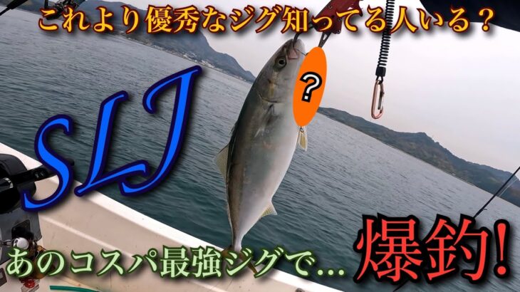 【SLJ】あのコスパ最強ジグで爆釣!これ程優秀なジグは他には無いでしょう…🤔🎣🐟