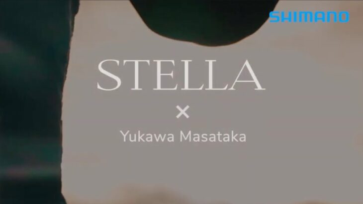 STELLA × エギング　-湯川マサタカがステラを語る