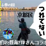 シーバス釣れなさすぎて東京湾まで遠征してみた【釣れ蒼海？TVさんコラボ】（2022年11月旬中旬 ）（舞鶴・由良川→東京遠征）