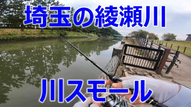 東京ルアー釣り、綾瀬川 ブラックバス 埼玉県草加市 (Tokyo Lure Fishing, Bass, 小口黑鱸)