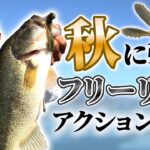 【バス釣り】秋バス攻略！フリーリグの特殊なアクション方法で釣果UP！