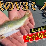 【バス釣り】晩秋はV3ミノーで浮かせて釣る方法を北大祐が紹介！
