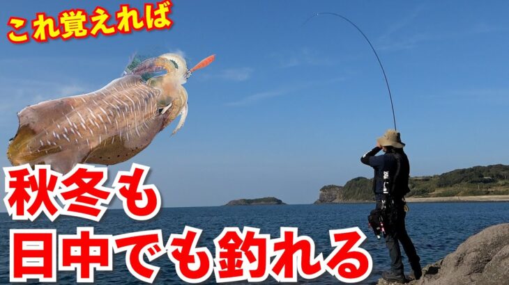 晩秋～冬デイエギング攻略法！日中のイカを釣る重要ポイントはこれです！釣り場・潮・etc…プロから学ぶエギング講座