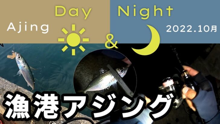 【漁港アジング】秋の漁港アジング in 新潟・富山　【日本海】パート1