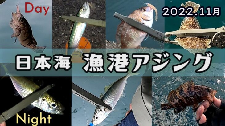 いろいろ釣れる秋の漁港アジング in 新潟・富山　【日本海】パート2