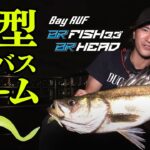 【シーバス】新型ワームでシーバスを狙え！in鶴見川【FISHING DOOR】