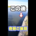 あぶなっ！？アニメのような一コマ 霞ヶ浦バス釣り #shorts