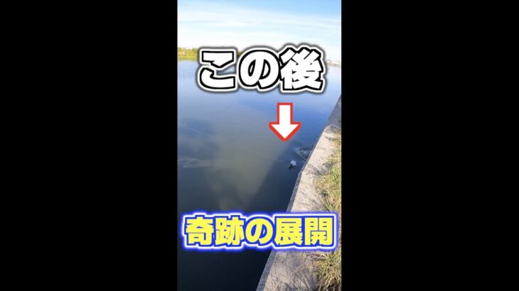 あぶなっ！？アニメのような一コマ 霞ヶ浦バス釣り #shorts