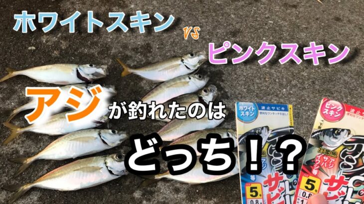 白スキンサビキとピンクサビキで釣り比べたら意外な結果に