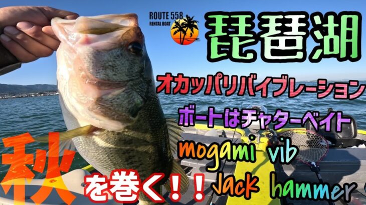 【琵琶湖バス釣り】琵琶湖オカッパリでもボートでも巻きが効く！オカッパリでモガミバイブ！ボートでジャックハンマー！今釣れてる秋の巻き物メインで琵琶湖を攻略！琵琶湖バス釣り人気バス釣りポイントで釣る！