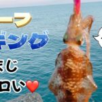 【サーフエギング】【ナブラ】サーフエギングでイカ釣れまくり！ナブラも発生して大忙し釣行。