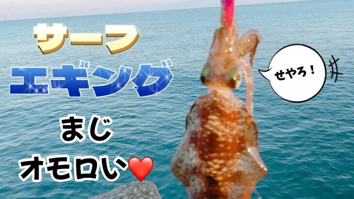 【サーフエギング】【ナブラ】サーフエギングでイカ釣れまくり！ナブラも発生して大忙し釣行。