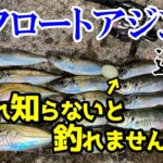 【アジング】フロートアジングが劇的に変わります！初心者必見！