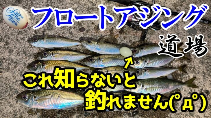 【アジング】フロートアジングが劇的に変わります！初心者必見！