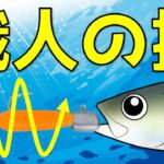 【アジングの釣り方】ルアーの動かし方　ジグ単の基本アクション