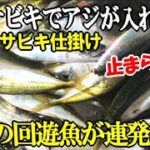 究極のサビキ組み合わせでアジが入れ食い！堤防の昼間から良型回遊魚が釣れ続けて止まらなかった！【爆釣回】