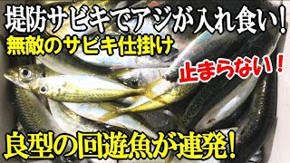 究極のサビキ組み合わせでアジが入れ食い！堤防の昼間から良型回遊魚が釣れ続けて止まらなかった！【爆釣回】