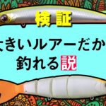 ビッグベイト初心者必見！【大きいルアーだから釣れる説】オヌマンのシーバス塾