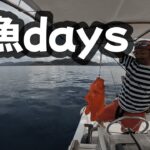 【根魚】最近は根魚が多い【ジギング】