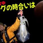 晩秋エギング攻略！夜にもまずめがある？プロが皆既月食中に釣れるのか試したら爆釣？