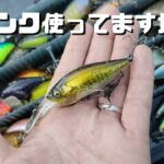 【バス釣り】バイブで釣れない。クランクで釣ったことがない、使い方が分からない。この使い方を真似してみて下さい。必ずバスが釣れるようになります。【実釣解説】【クランク】【巻物】