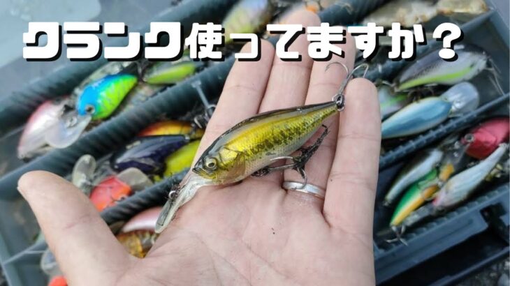 【バス釣り】バイブで釣れない。クランクで釣ったことがない、使い方が分からない。この使い方を真似してみて下さい。必ずバスが釣れるようになります。【実釣解説】【クランク】【巻物】