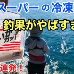 業務スーパーの「冷凍イカ」で釣りをしたら釣果が神だった…