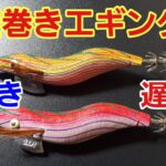 【エギング】早巻きと遅巻きで誘うただ巻きエギング🎣