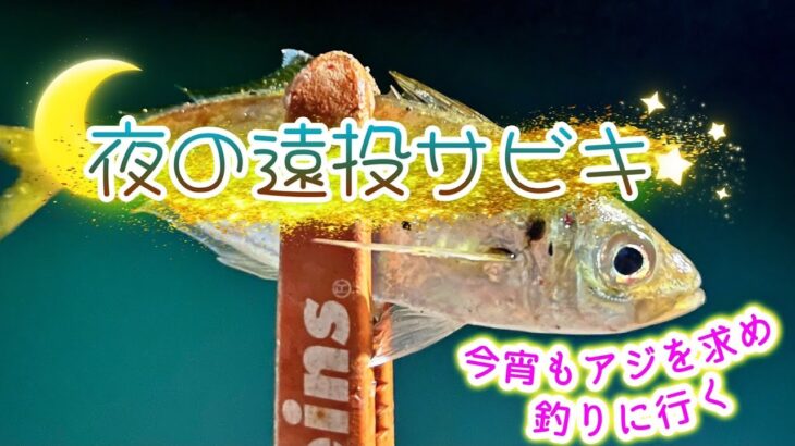 ◆深夜限定のアジ釣り◆電気ウキ投げサビキで静かにアジを釣ってワンプレート料理。