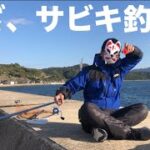 サビキ釣りに行ったら〇〇が無双した