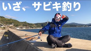 サビキ釣りに行ったら〇〇が無双した