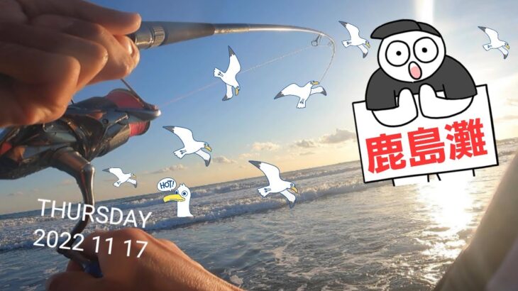 【鹿島灘サーフ】ベイトが寄って鳥が来た！これは激アツ確定だ🎣