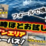 渋い時こそお試しを！フォールで喰わすオープンエリアシーバス！ – 落として巻くだけタダ巻き釣法 沖堤防編 –