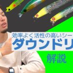 ルアーを流してシーバスを釣る！安田ヒロキ得意のダウンドリフトを解説