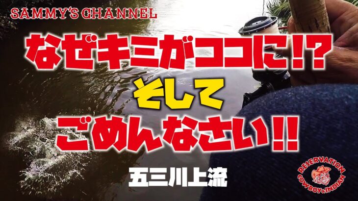 なぜキミがココに!?  そして ごめんなさい!! 【五三川上流】